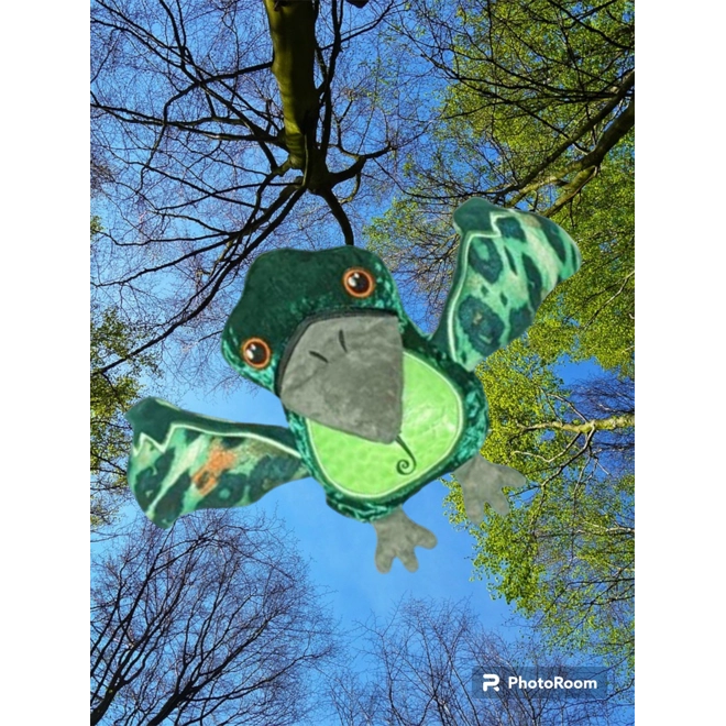 Additional Image for Pterodactyl stuffie