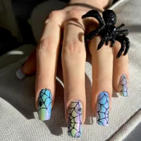 Rainbow Arachnids