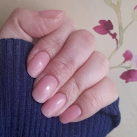 Chiffon Semi Cured Gel Wraps