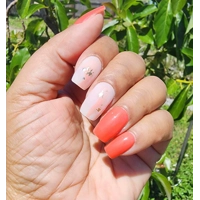 LIT GELS - Coral Cove