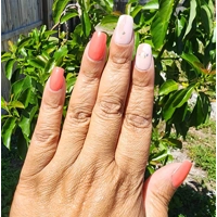 LIT GELS - Coral Cove