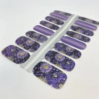 Sparkling Chrysanthemum