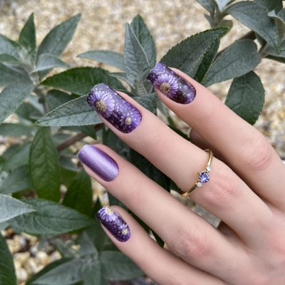 Sparkling Chrysanthemum