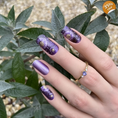 Sparkling Chrysanthemum