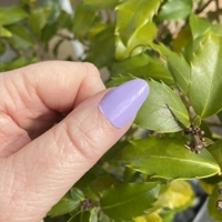 Crocus Semi Cured Gel Wraps