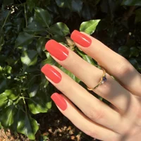 Hot Tamale No UV Gels