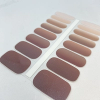 Autumn Gradient Semi Cured Gel Wraps