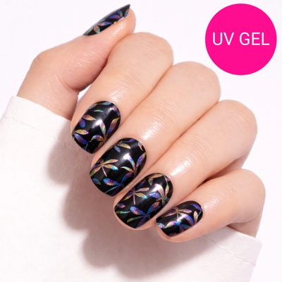 Nocturnal Wings Semi Cu..