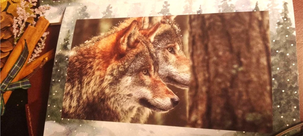 The beautiful cards arrived yesterday. Thank you so much for them..