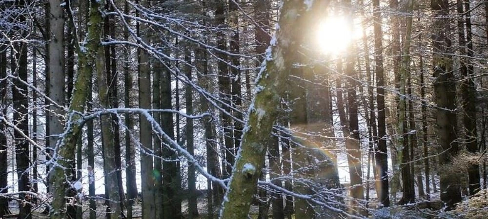  Thank you guys!   Gary Payne - 'The Lord Bute' - Christchurch