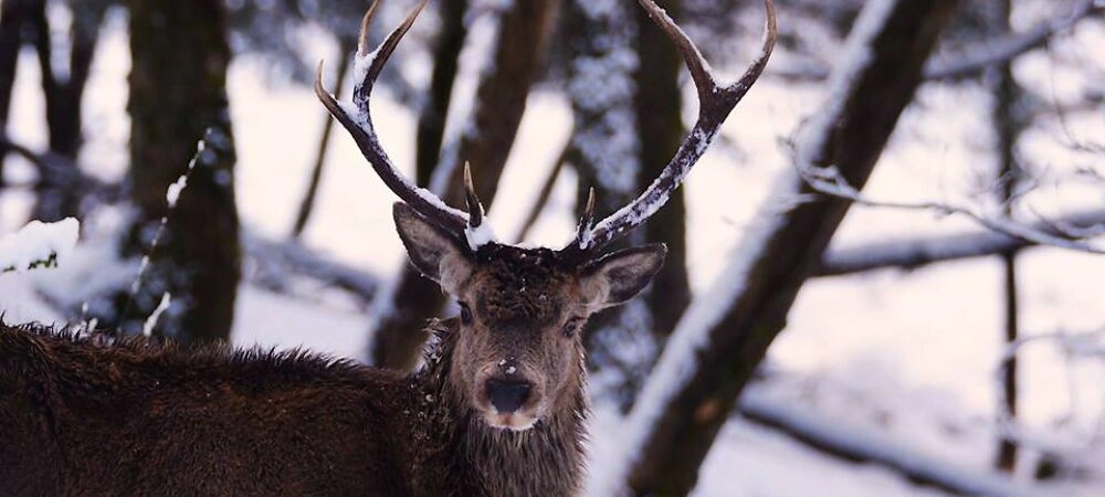 Can highly recommend. Sarah Bradley - Bournemouth