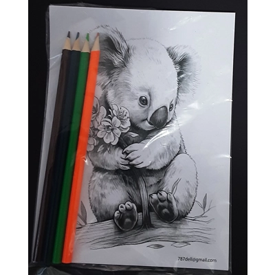 Colouring Packs 4 Sheets and 4 Full size Colour Pencils title=