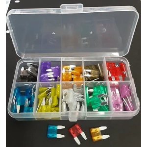 Fuses Auto Mini Box of 100 Assorted