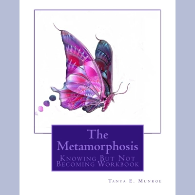 THE METAMORPHOSIS - Knowing But Not Becoming