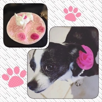 Floral and pearl pet necklace