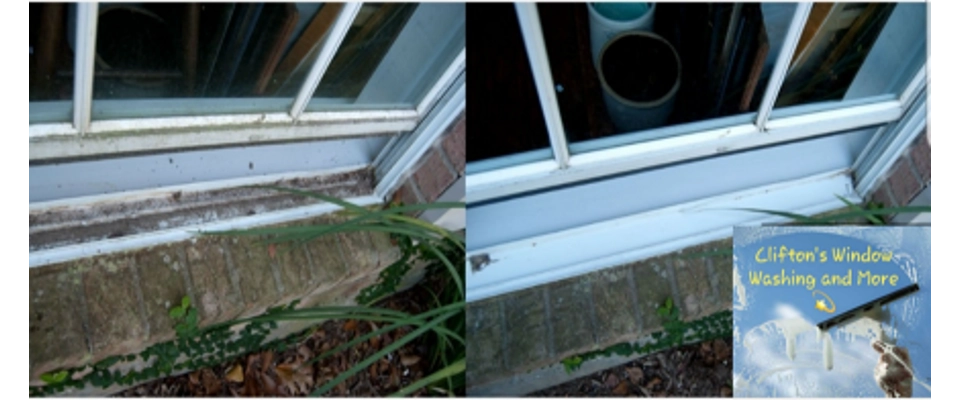 Window cleaning/Window panel cleaning (Clifton's Window Washing and More)