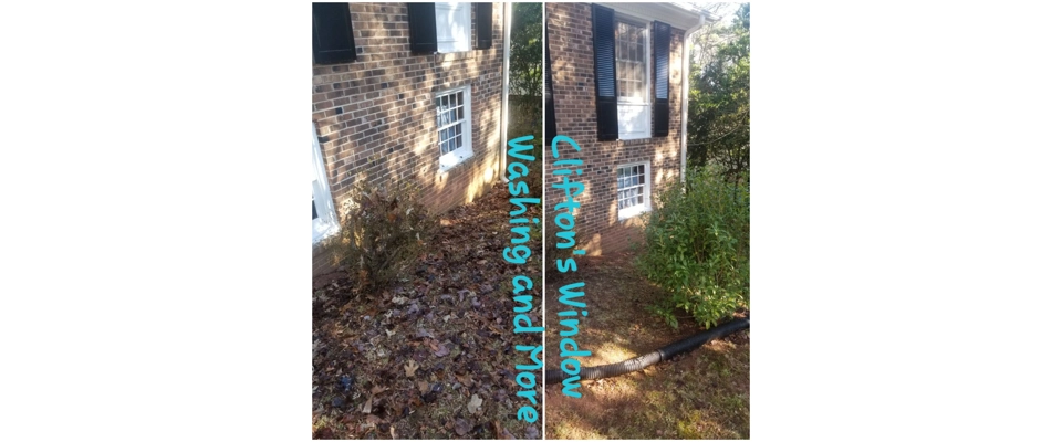 Debris cleaning (Clifton's Window Washing and More)