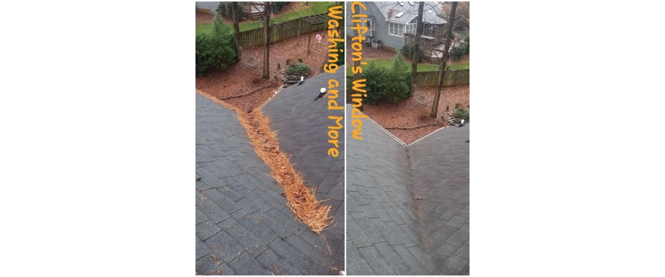 Roof cleaning (Clifton's Window Washing and More)