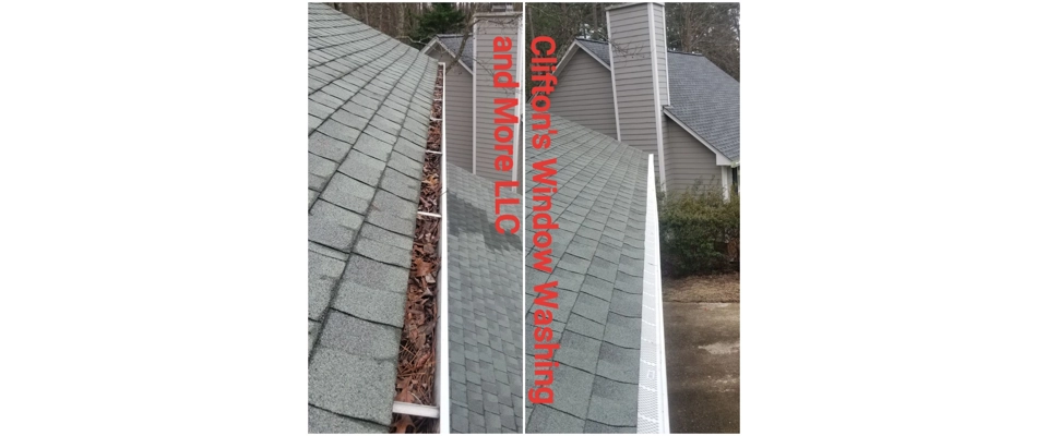 Gutter Cleaning Special, Save $$