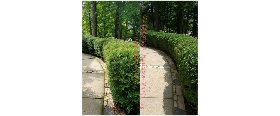Bush trimming ( Clifton's Window Washing and More LLC )