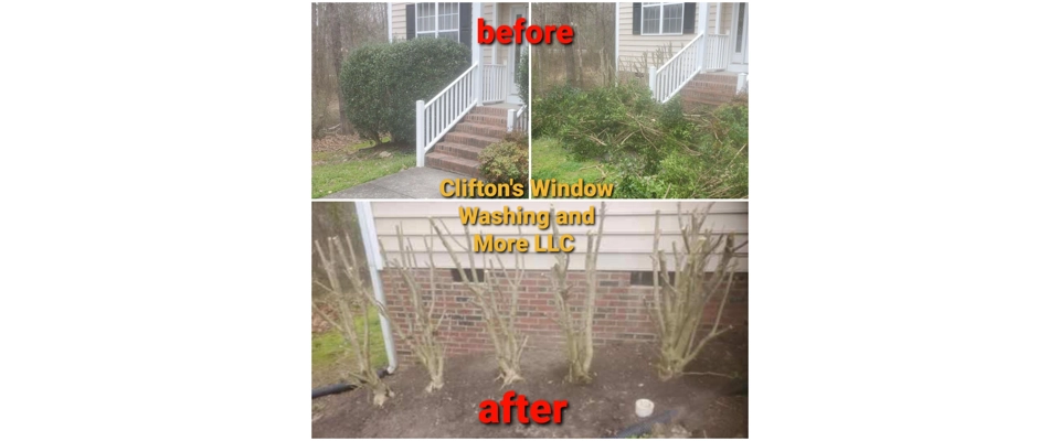 Bush trimming landscaping (Clifton's Window Washing and More LLC)