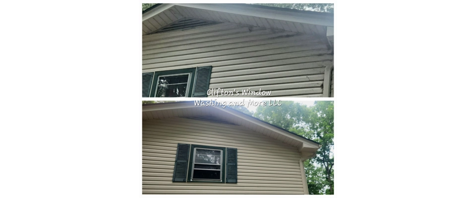 Residential soft wash