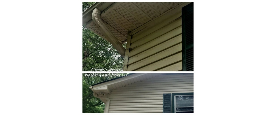 Residential soft wash