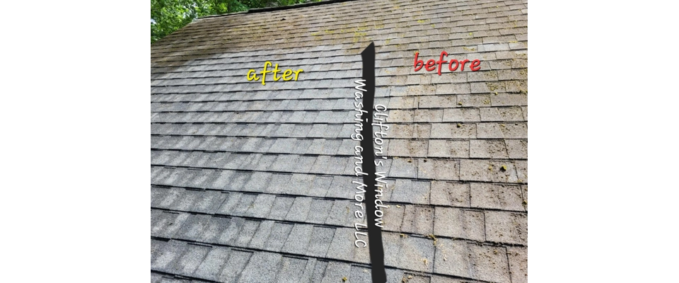 Roof wash (Clifton's Window Washing and More LLC)