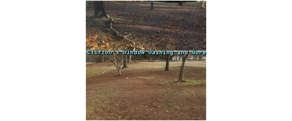 Debris Removal (Clifton's Window Washing and More)