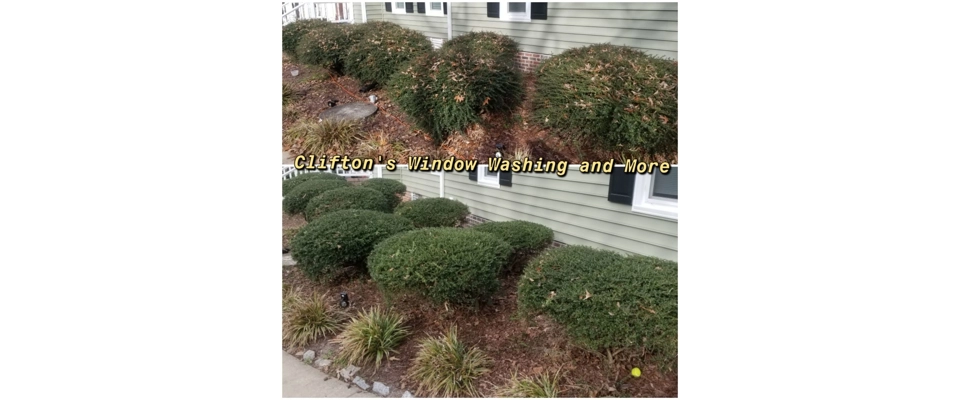 Hedge trimming (Clifton's Window Washing and More)