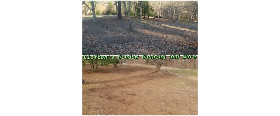 Leaf Removal (Clifton's Window Washing and More)