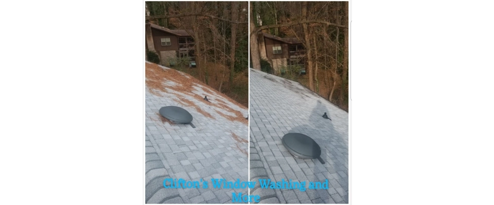 Clifton's Window Washing and more