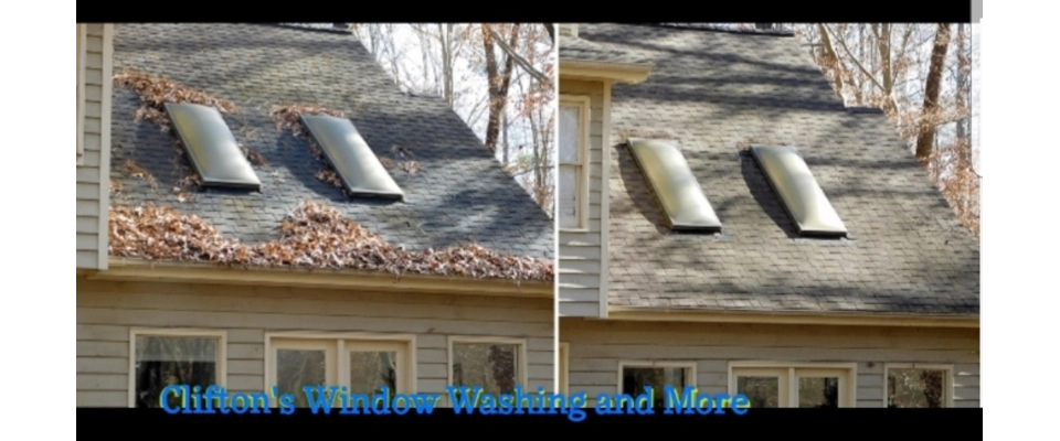 Clifton's Window Washing and More (Complete roof clean)