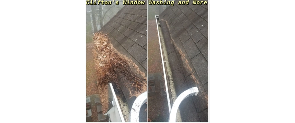 Roof clean/Gutter Cleaning (Clifton's Window Washing and More)