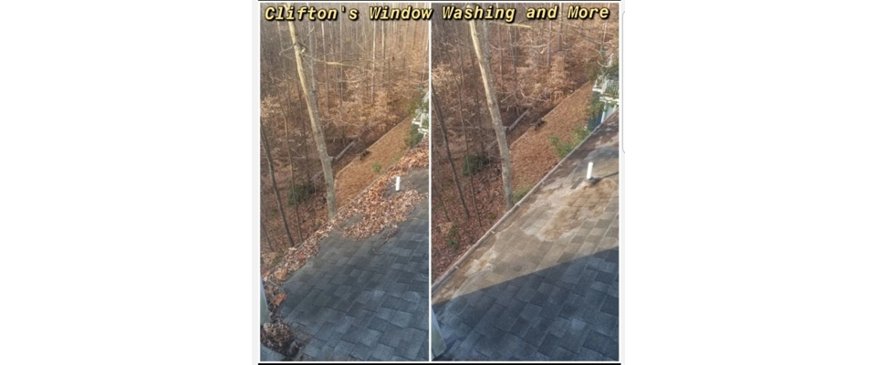 Roof cleaning/ Leaf Removal  (Clifton's Window Washing and More)
