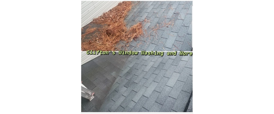 Roof / Debris clean (Clifton's Window Washing and More)