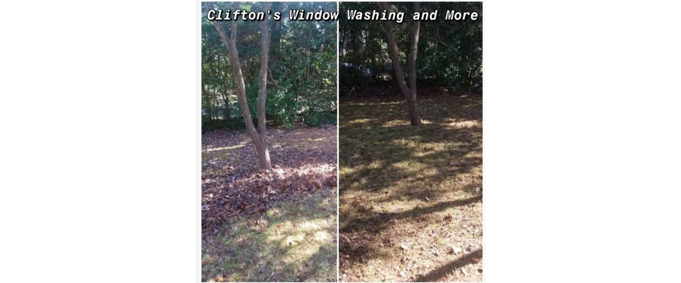 Debris/ leaf cleaning (Clifton's Window Washing and More)