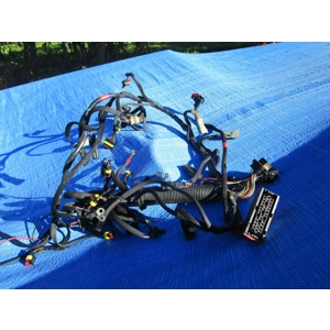 Evinrude Outboard etec 115HP Base & Harness Assy 0586891