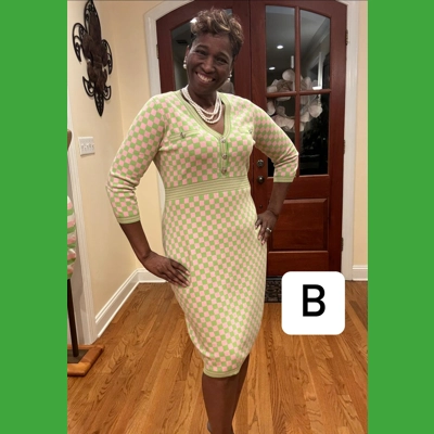 The Juilianna Dress Checkered dress