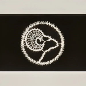 Oven (21.3. – 20.4.)