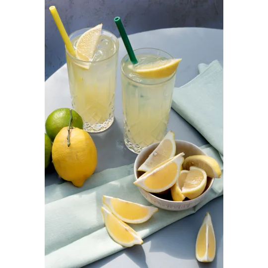 reusable straws in two glasses of lemonade with slices of lemon around the base