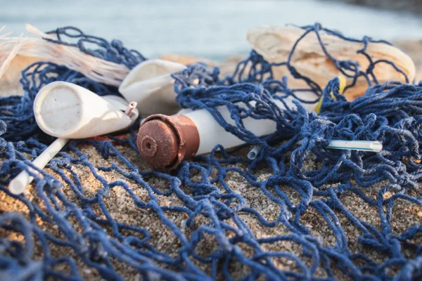 Single Use Plastic Straw Ban