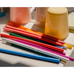 DO REUSABLE STRAWS HARBOUR BACTERIA?