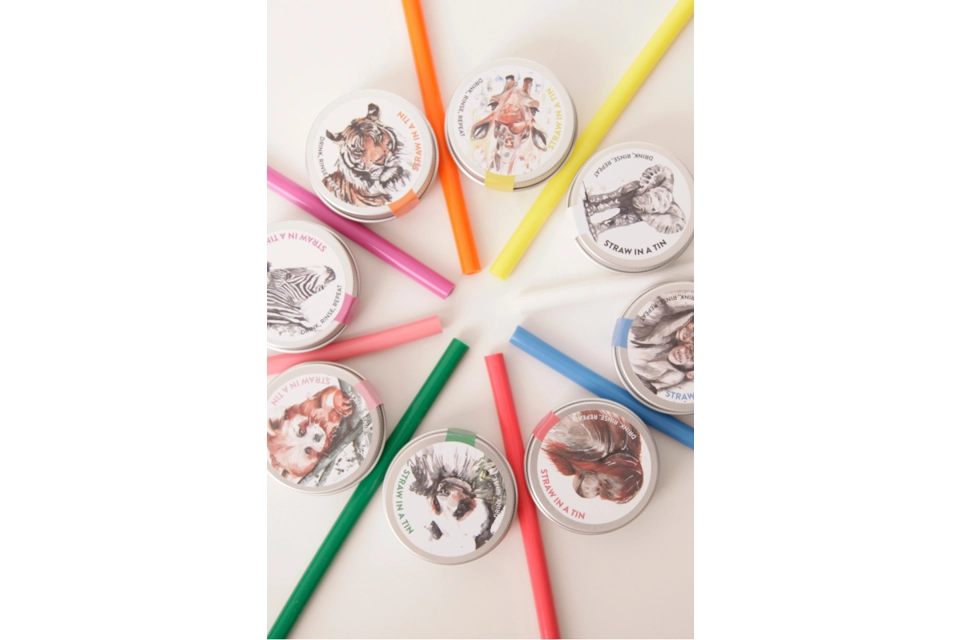 Animal Silicone straw and tin