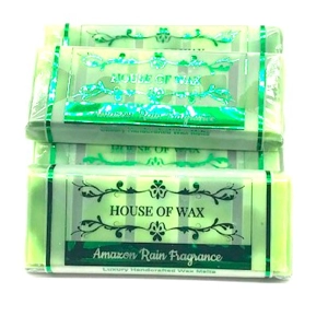 Amazon Rain Fragrance Wax Melt Snap Bar