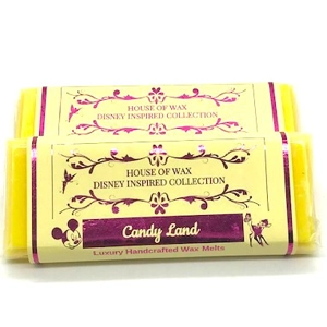 Candy Land Fragrance Wax Melt Snap Bar