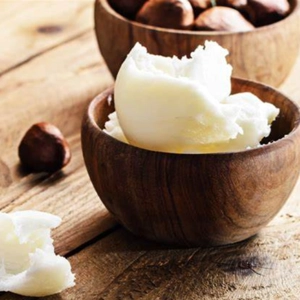 Coconut & Shea Fragrance