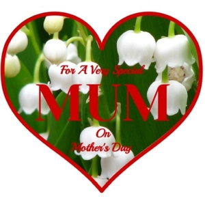 Mother's Day Candle Lily of the Valley Fragrance