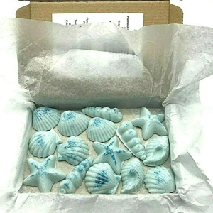 Seashells Seashells