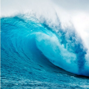 Ocean Fragrance Ocean Fragrance